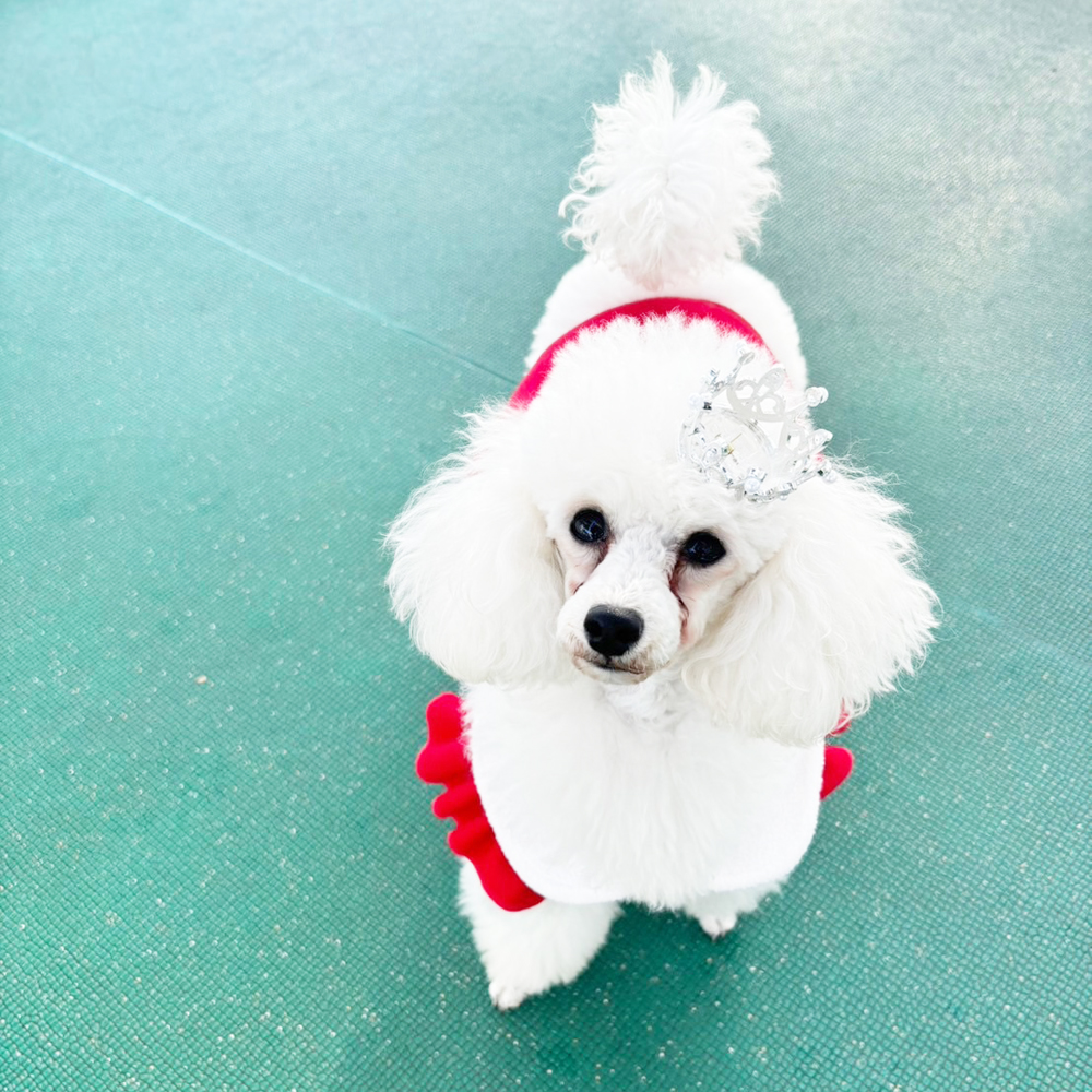 クリスマスイブ♪